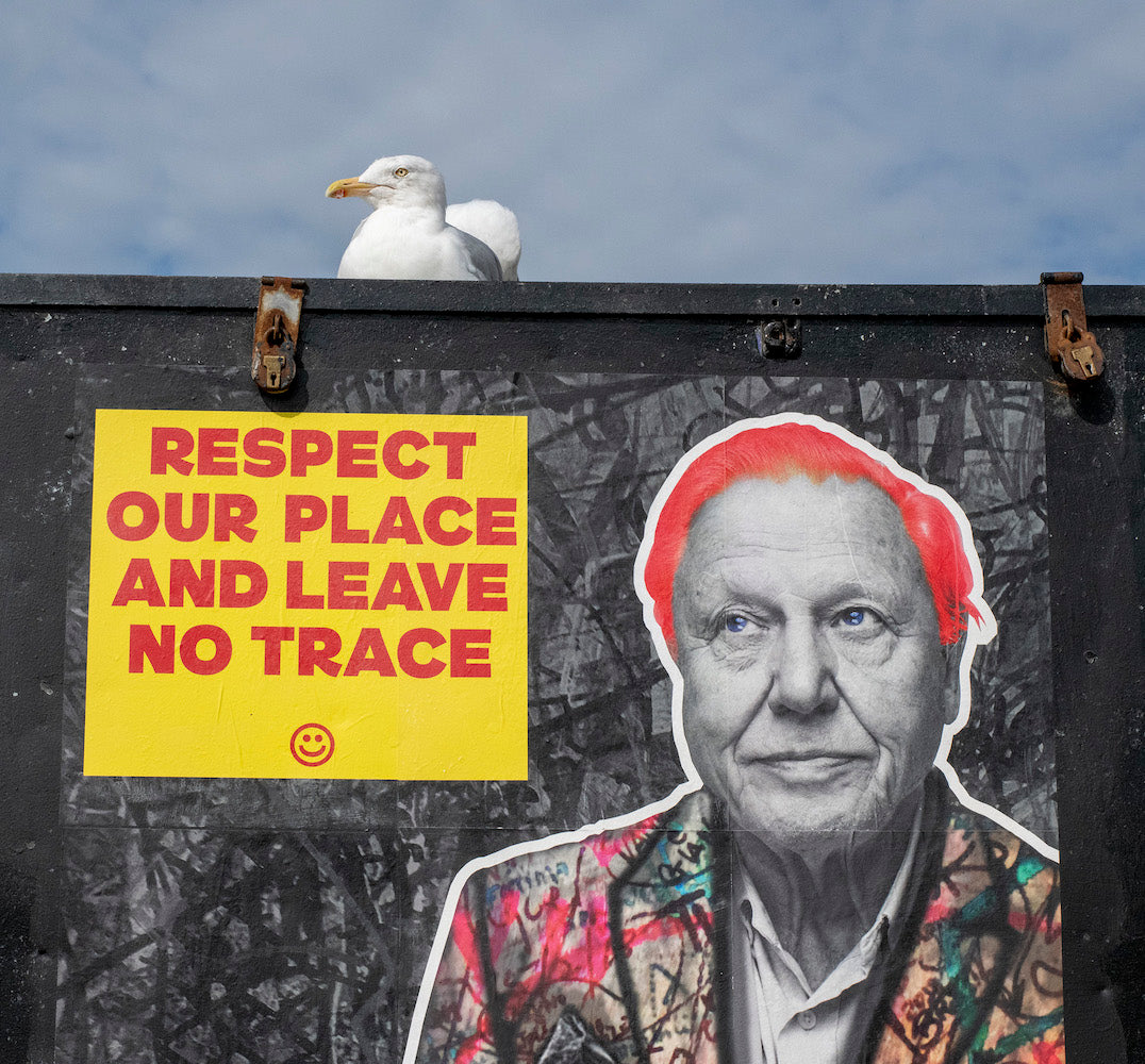 Leave No Trace - Brighton - September 2020