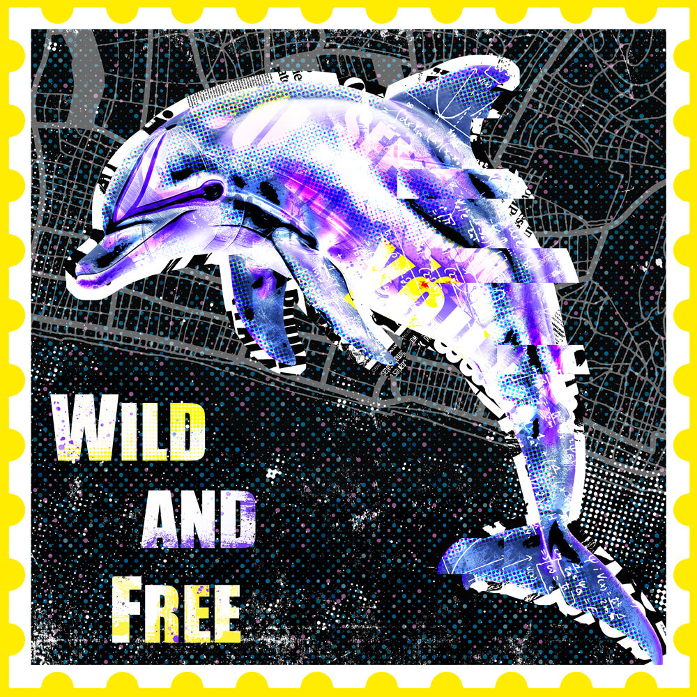 Dolphin Print by The Postman