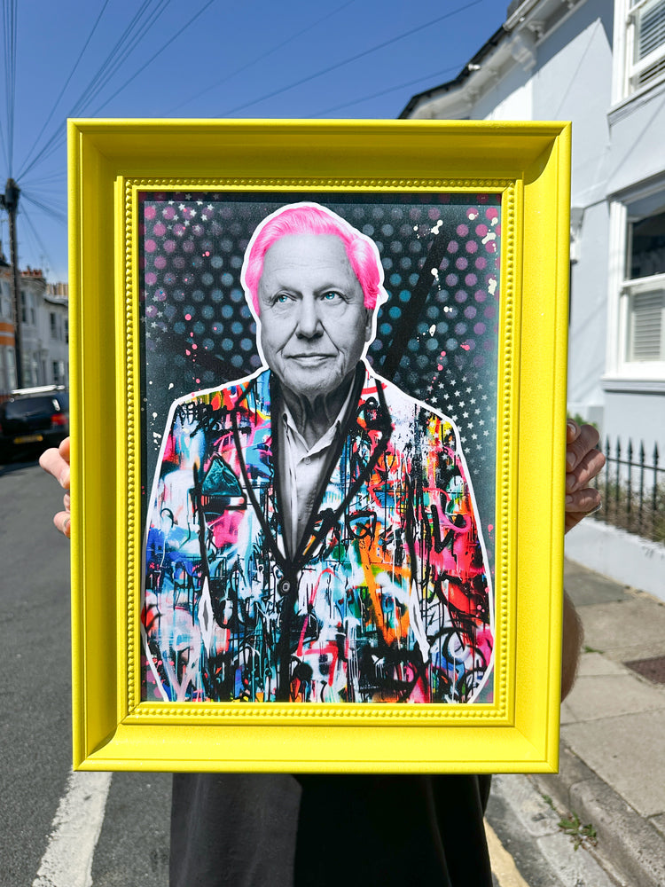Framed Attenborough Artwork by The Postman