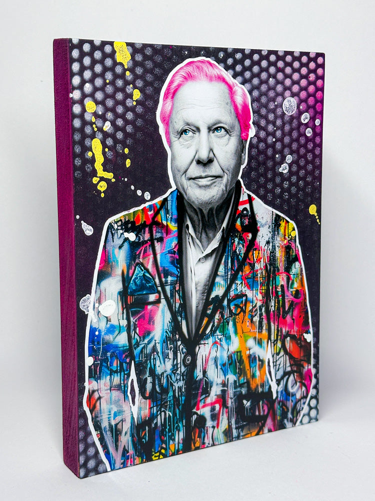 David Attenborough 2025 XSmall Original The Postman