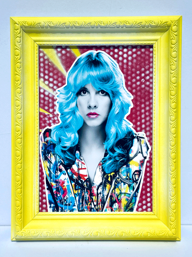 Stevie Nicks Framed art The Postman