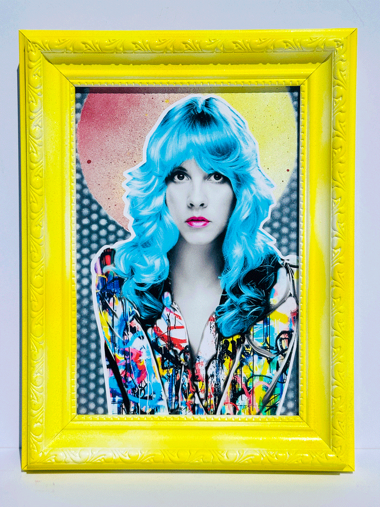 Stevie Nicks Framed Art the Postman