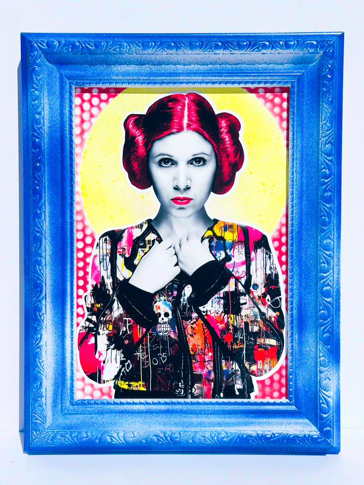 Princess Leia Framed Art The Postman